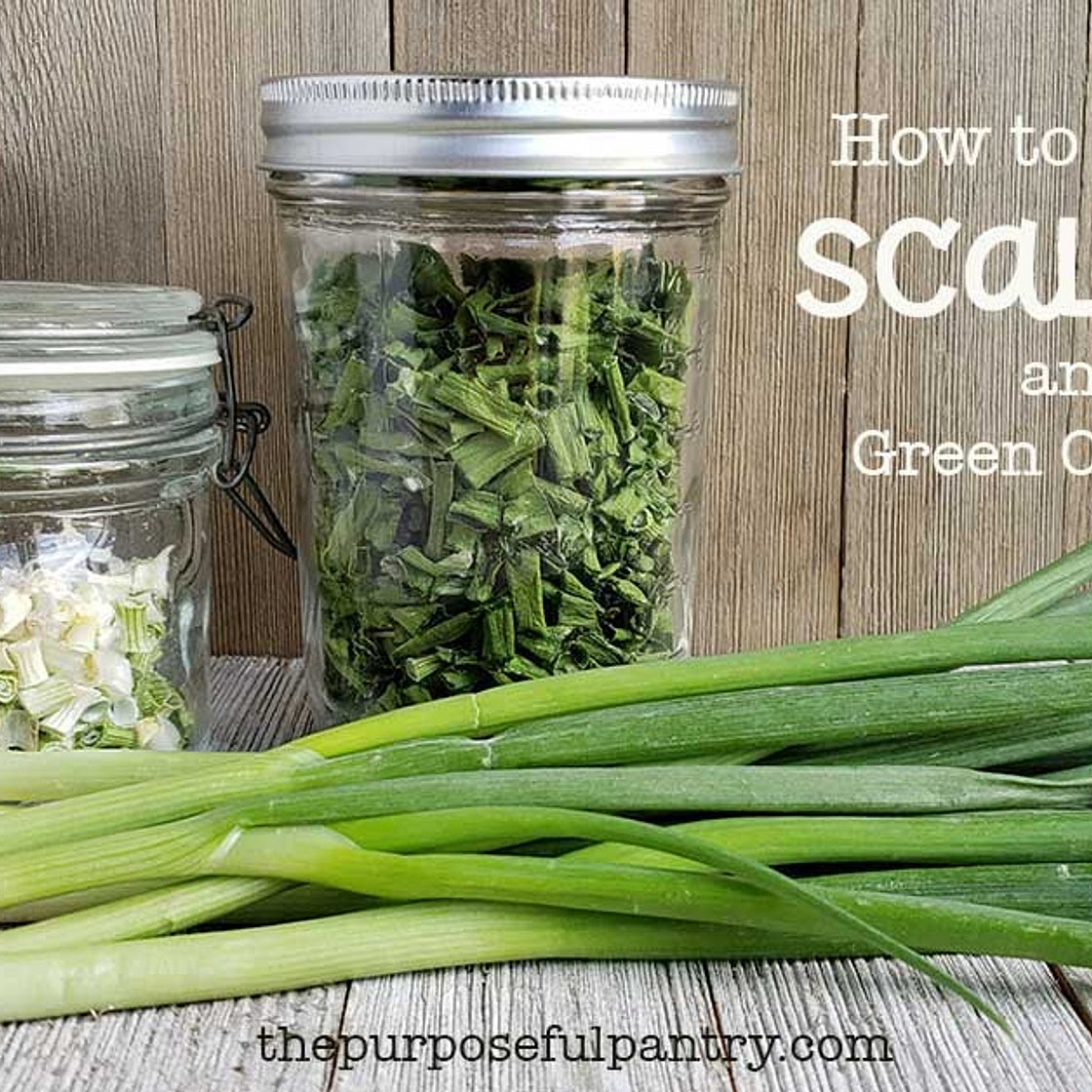 How to Dehydrate Scallions or Green Onions