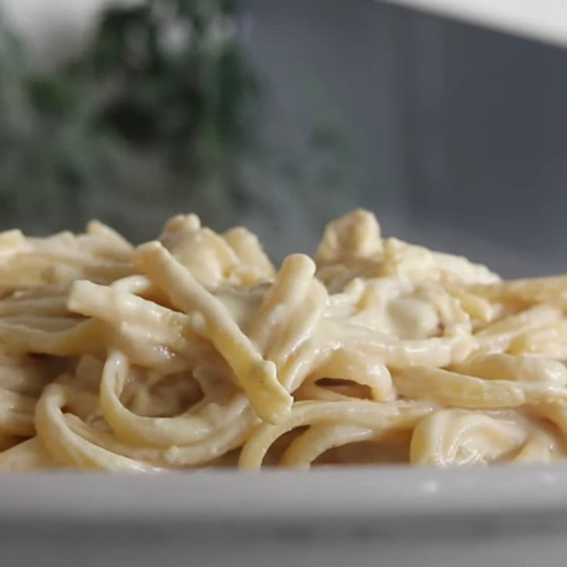 Creamy Vegan Alfredo Sauce Recipe (Gluten-Fr