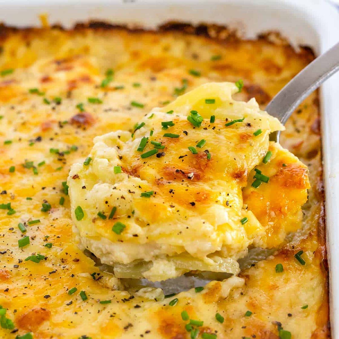 Classic Potato Gratin