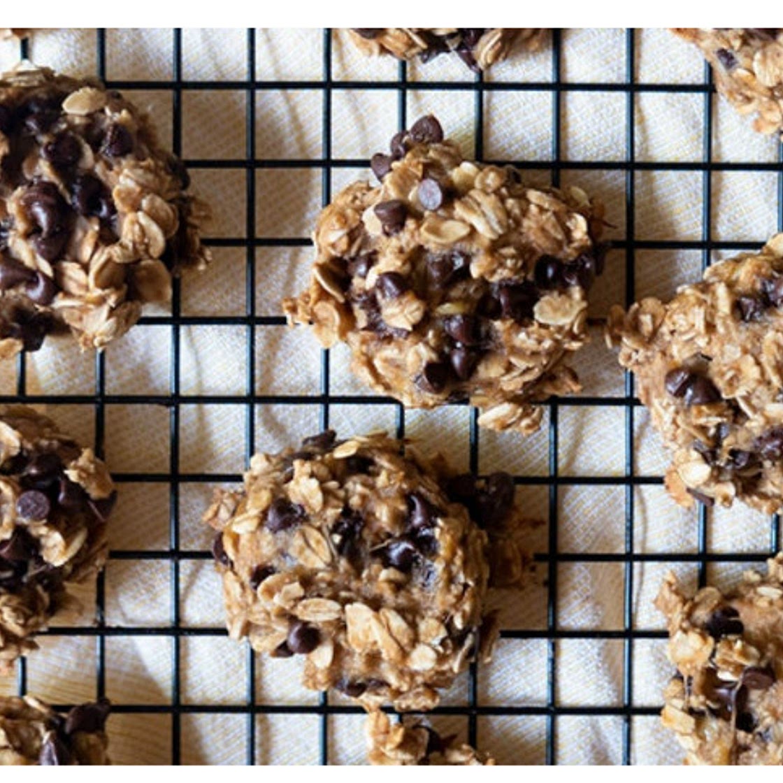 Oat Cookies