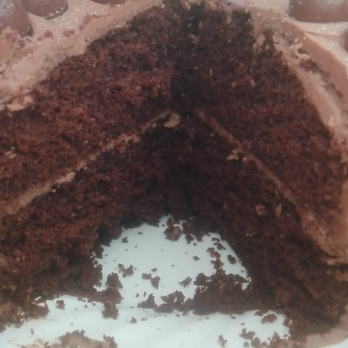 Sunflower oil cake
