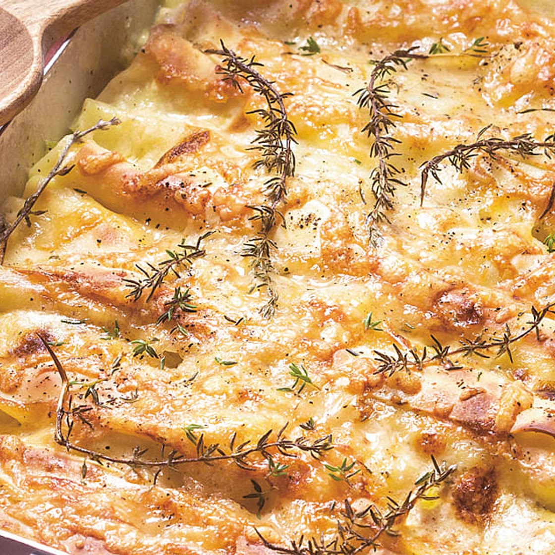 Cannelloni mit Wirz