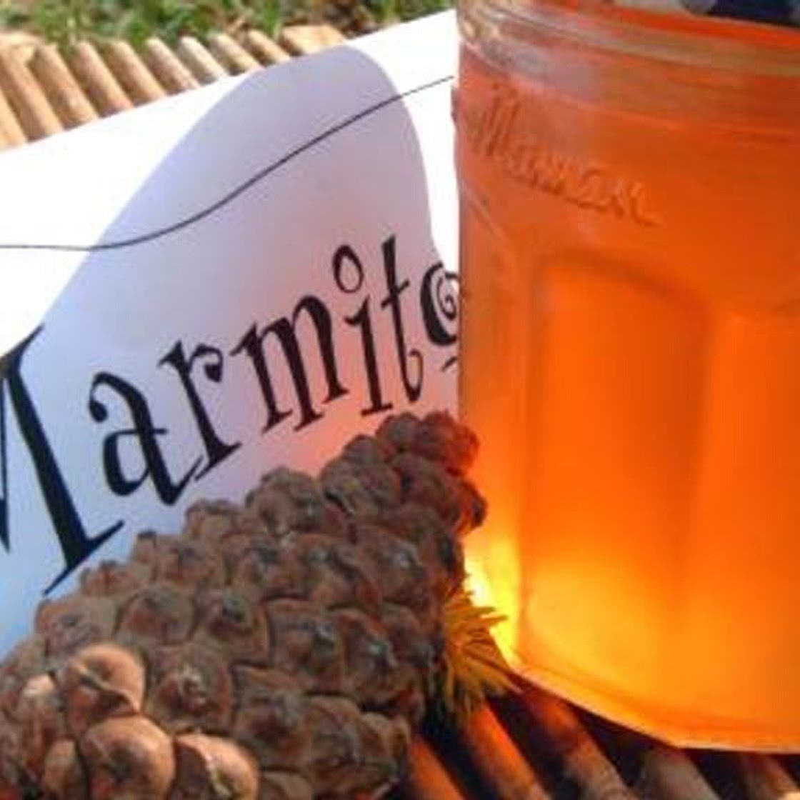 Confiture de bourgeons de sapin