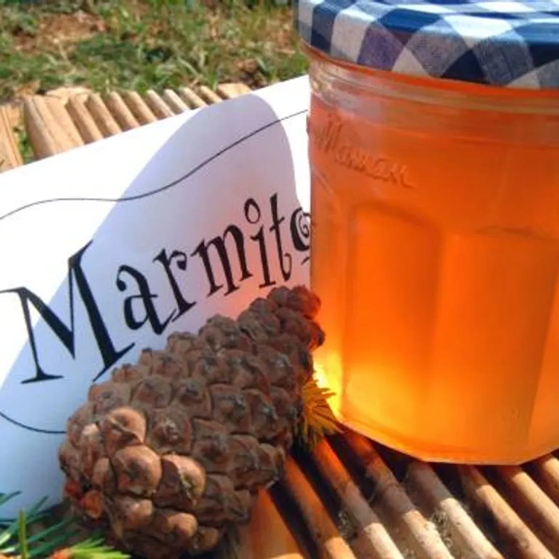 Confiture de bourgeons de sapin