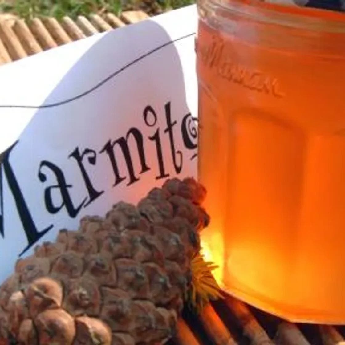 Confiture de bourgeons de sapin