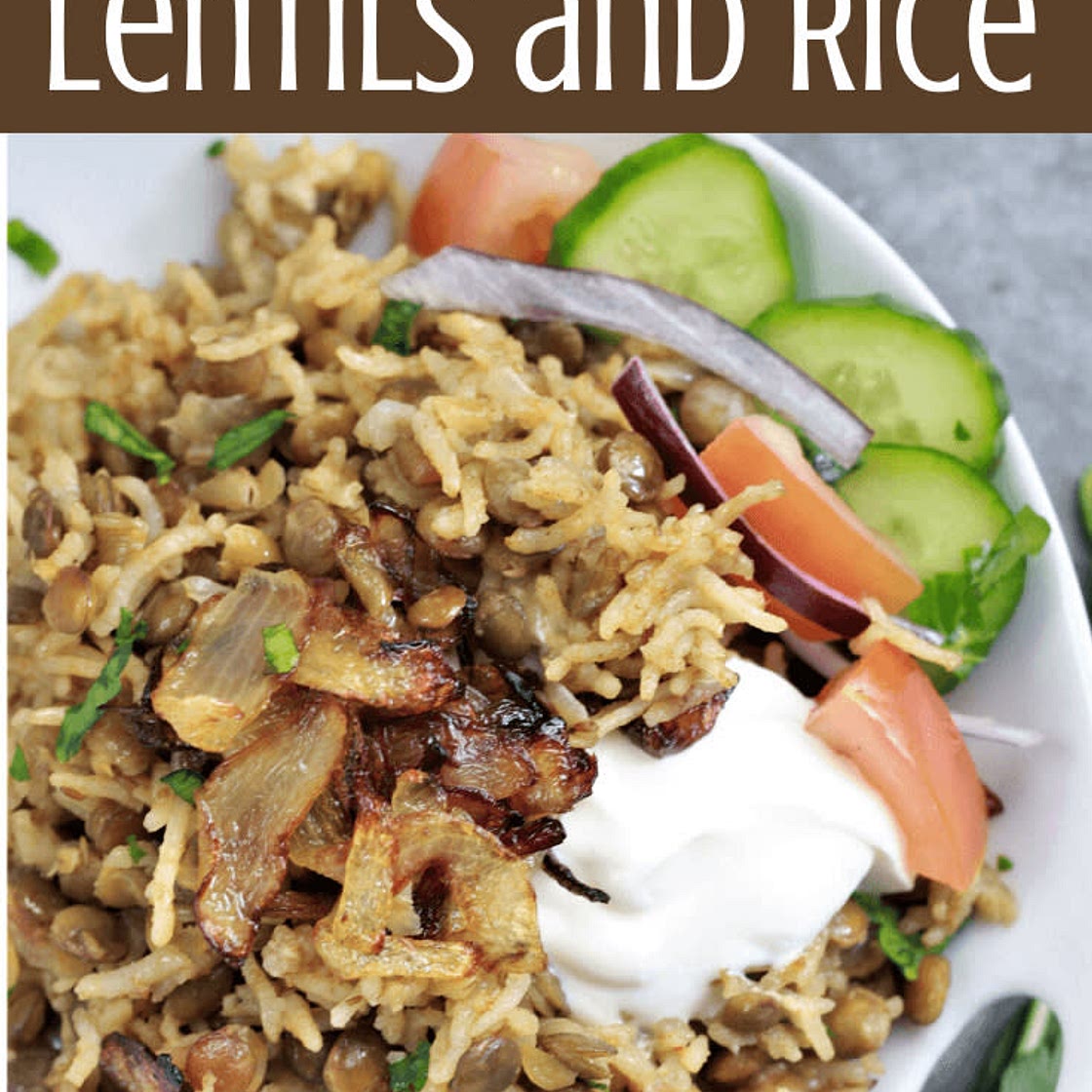 Instant Pot Mujadara Lentils and Rice