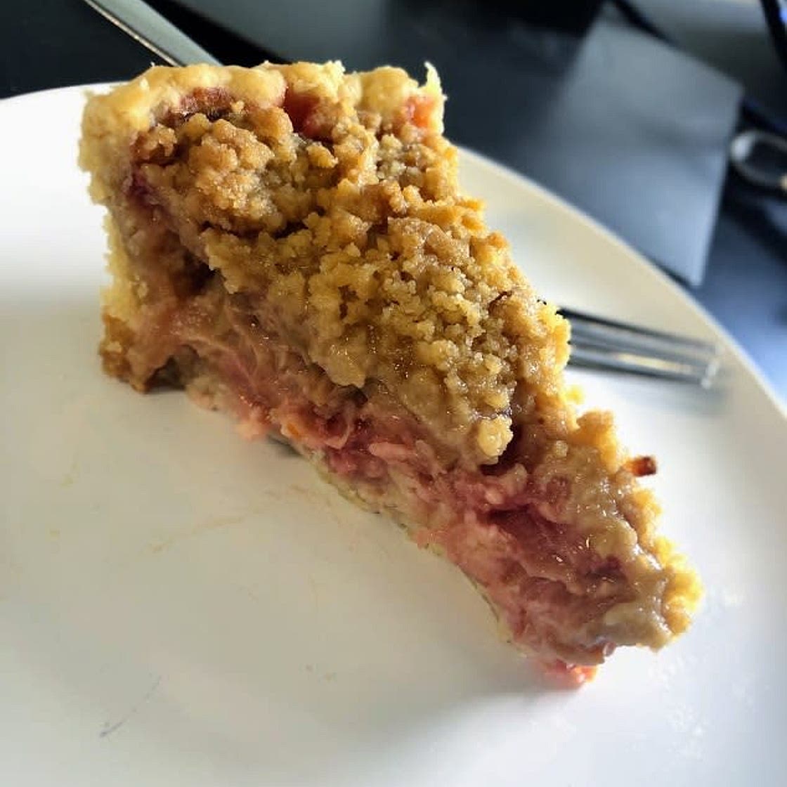 Rhubarb Custard Pie