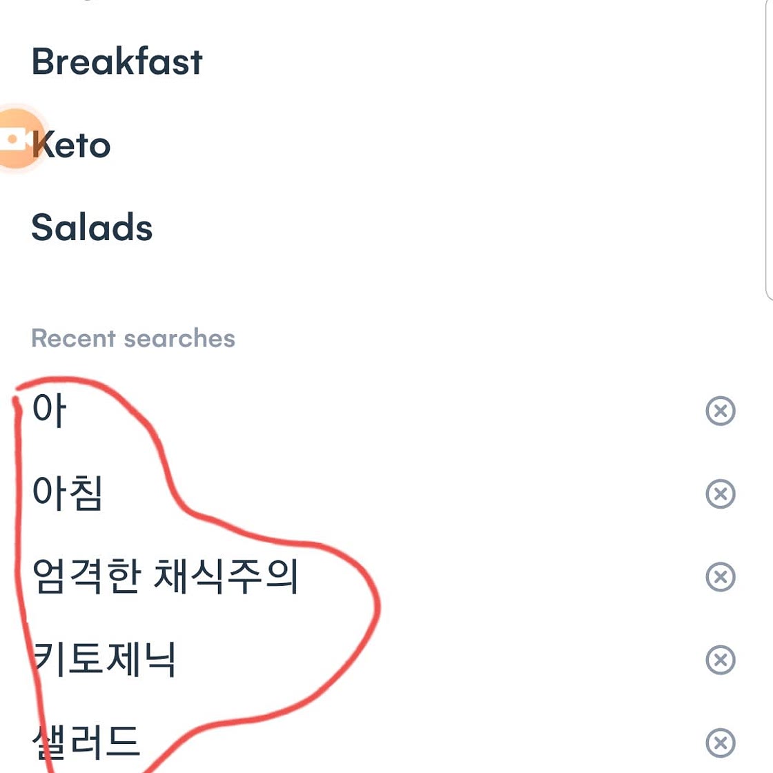 Air Fryer Funnel Cake