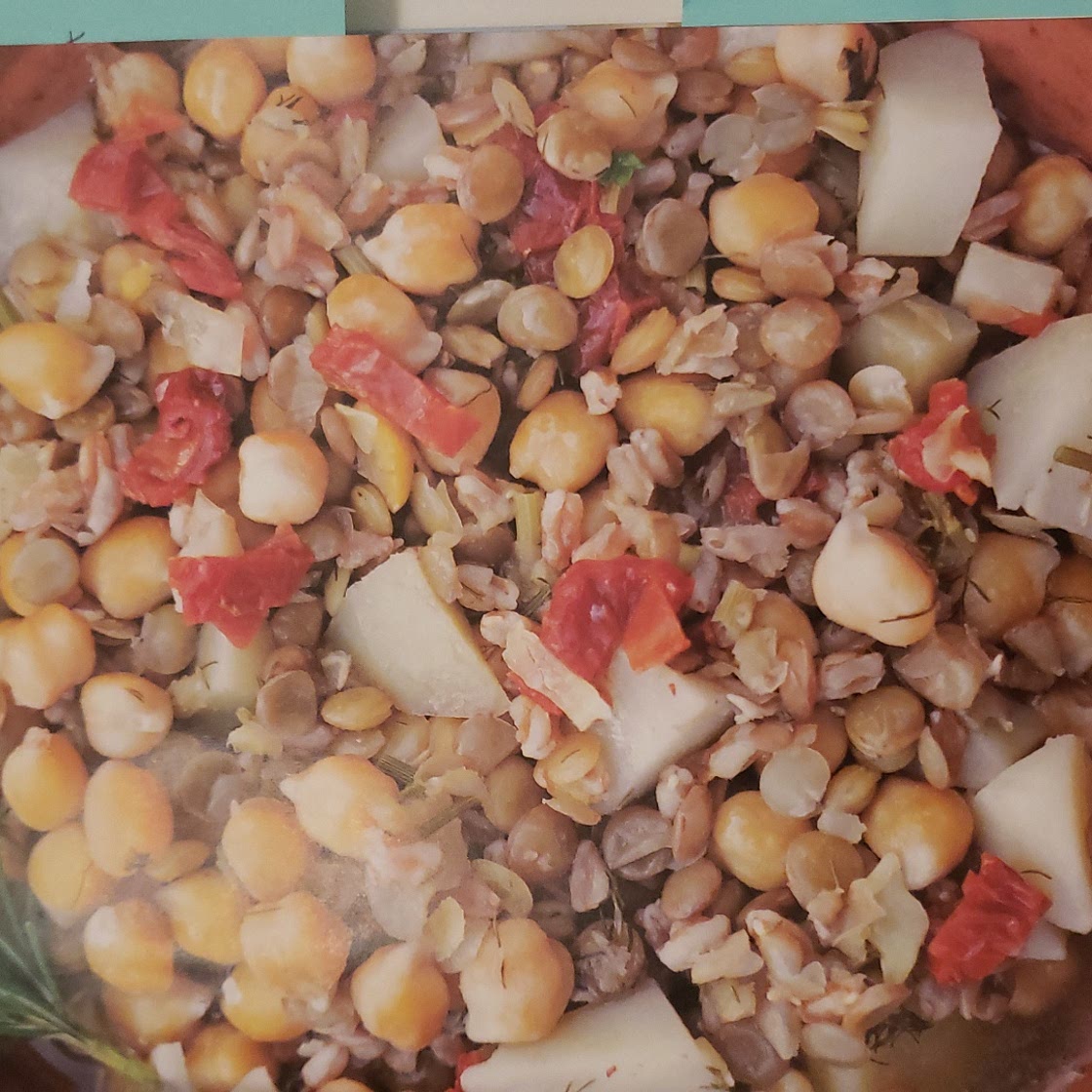 HERBED LENTIL MINESTRONE WITH WILD FENNEL
