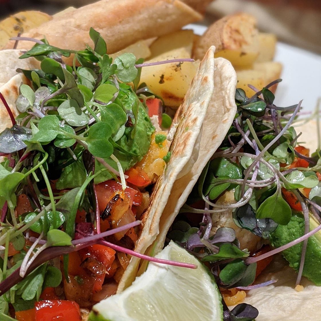 BBQ Jackfruit Tacos