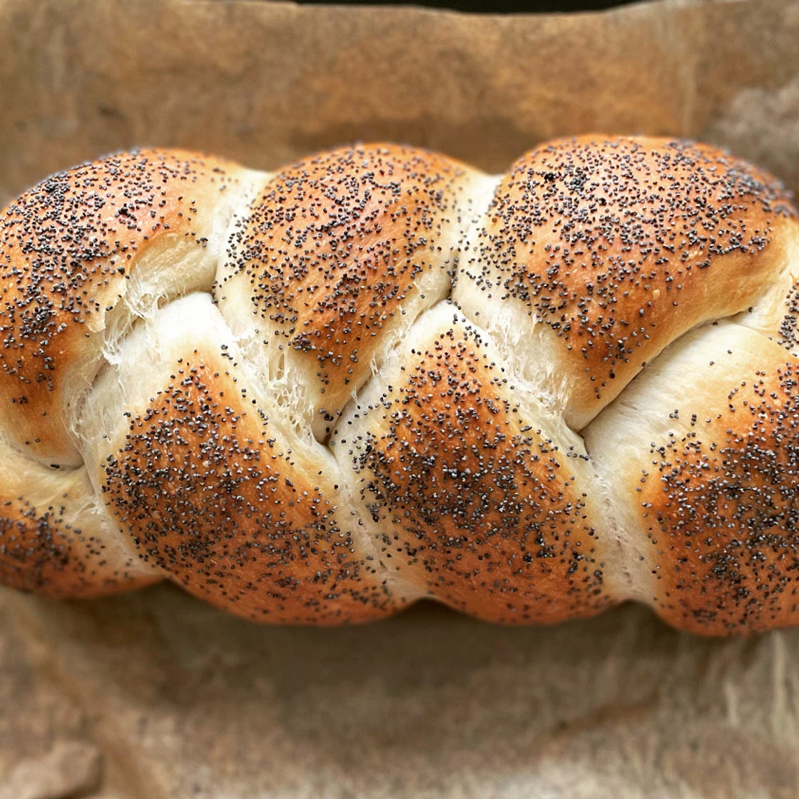 Lou's Plaited Poppy Seed Loaf