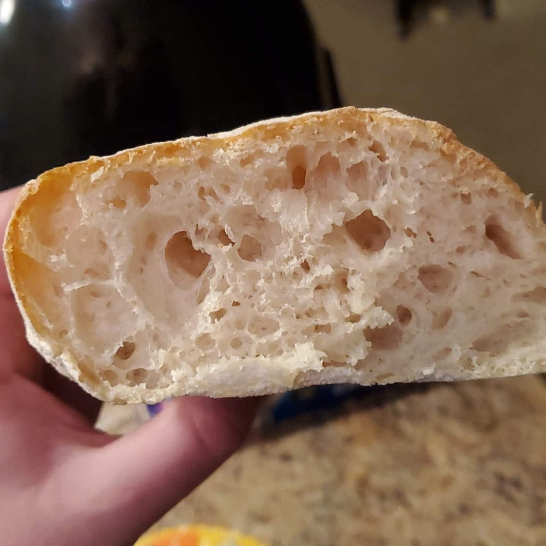 Ciabatta Bread