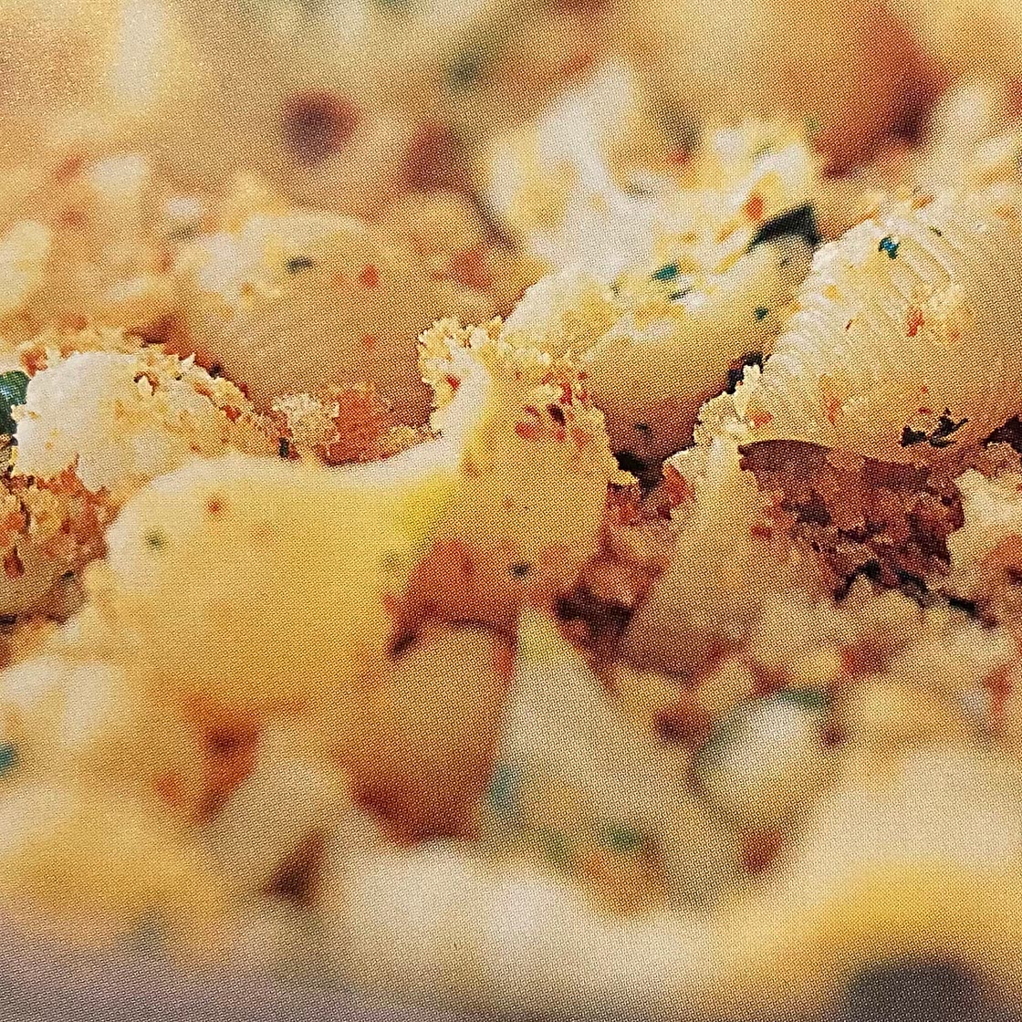 pasta shells with cauliflower