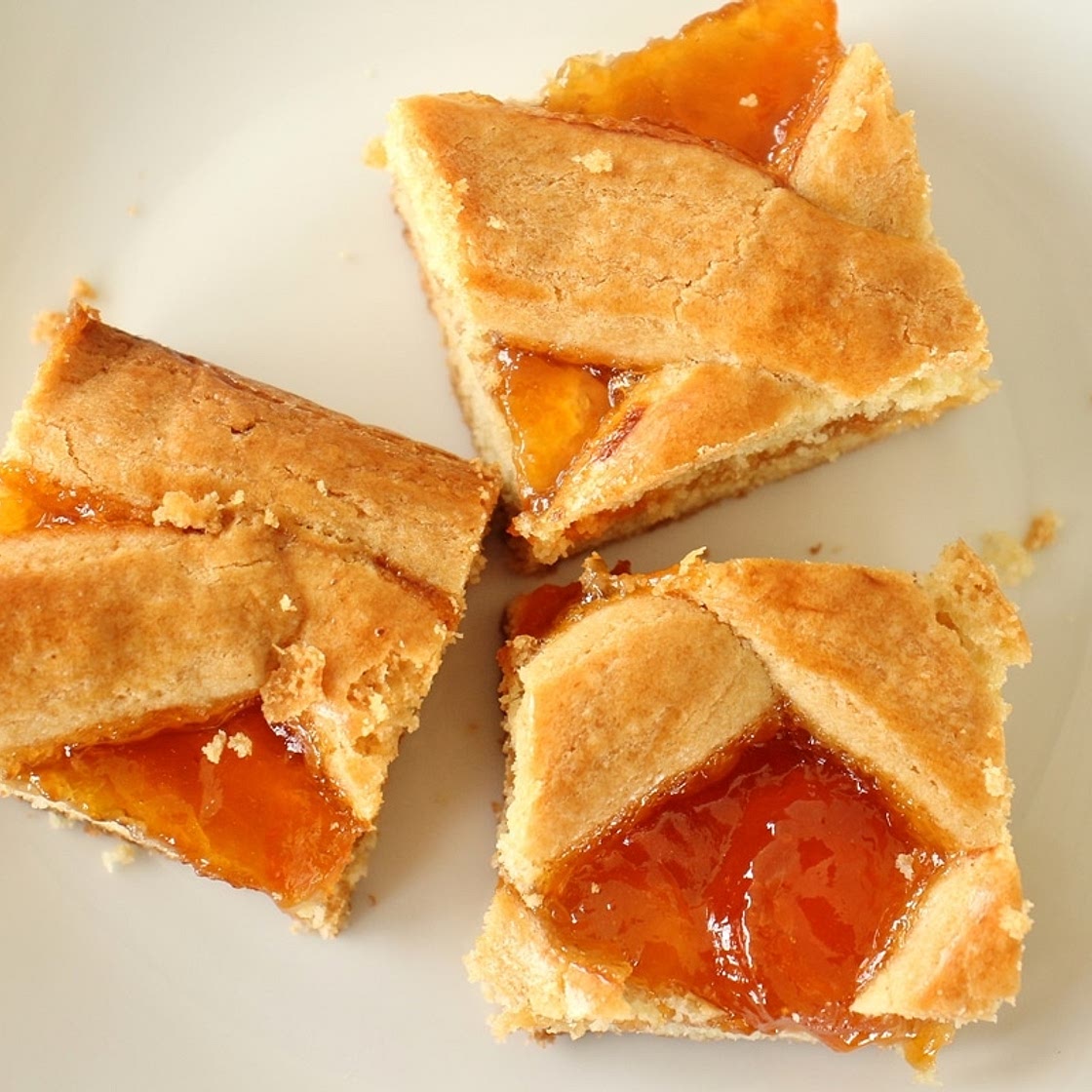 Russian Pirog with Apricot Preserves