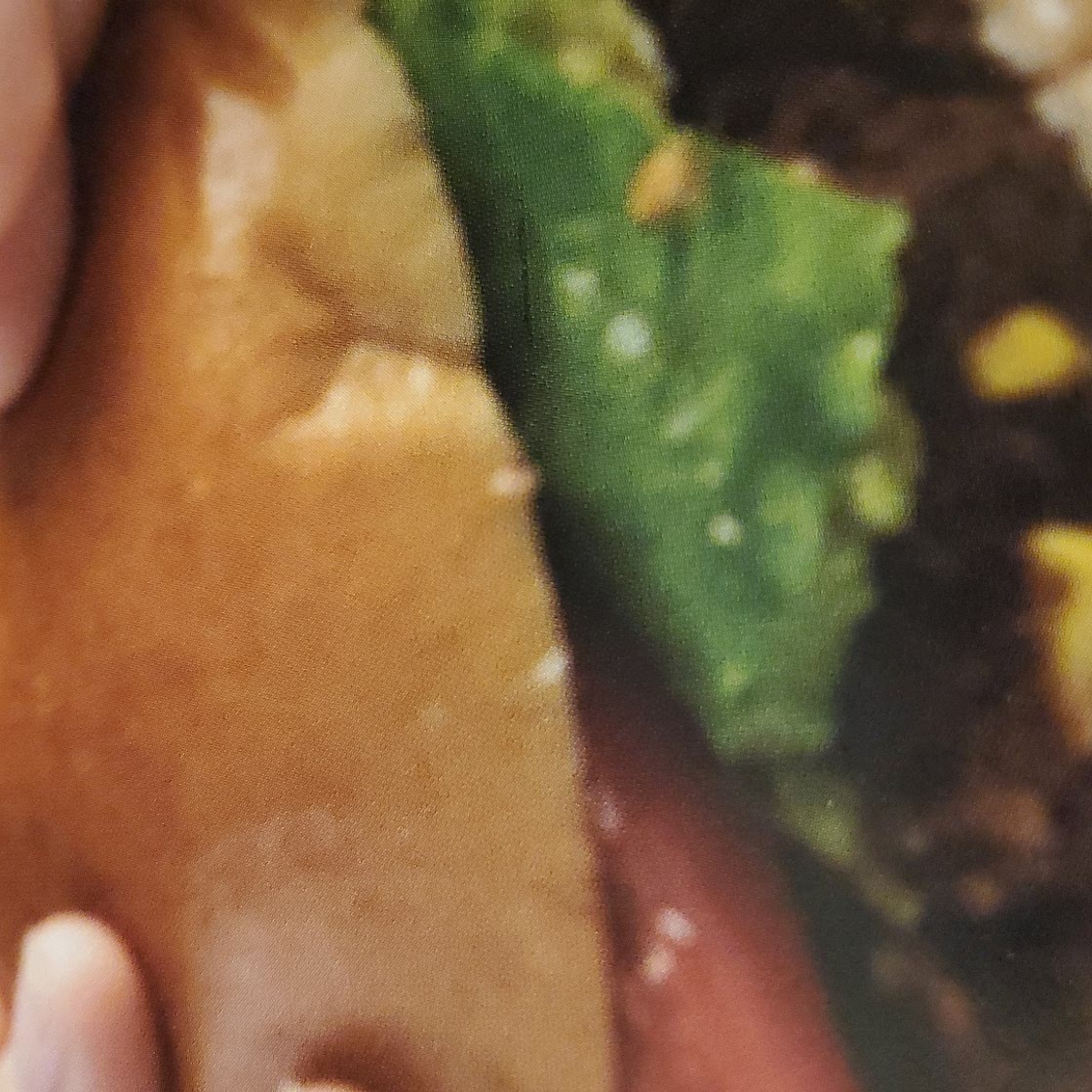 Southwestern Vegetarian Black Bean Burgers