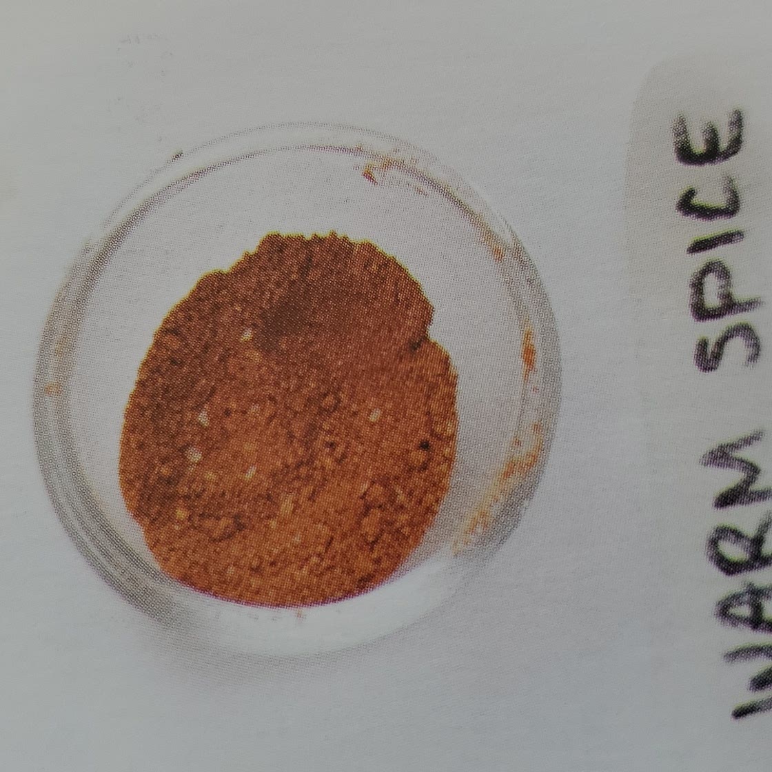 Warm Spice Rub