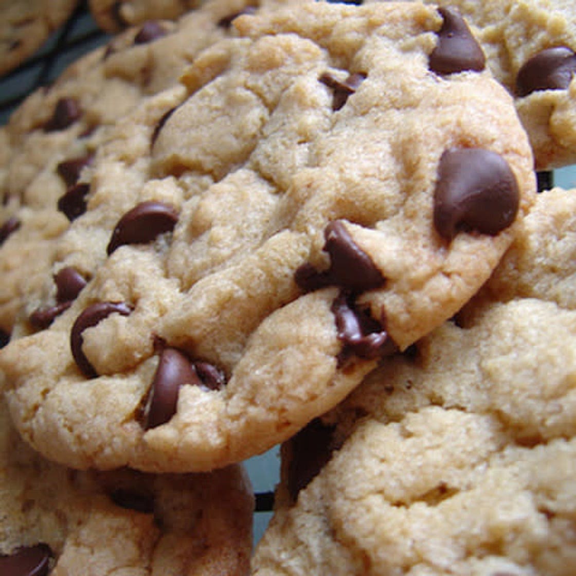 Thick and Chewy Chocolate Chip Cookies