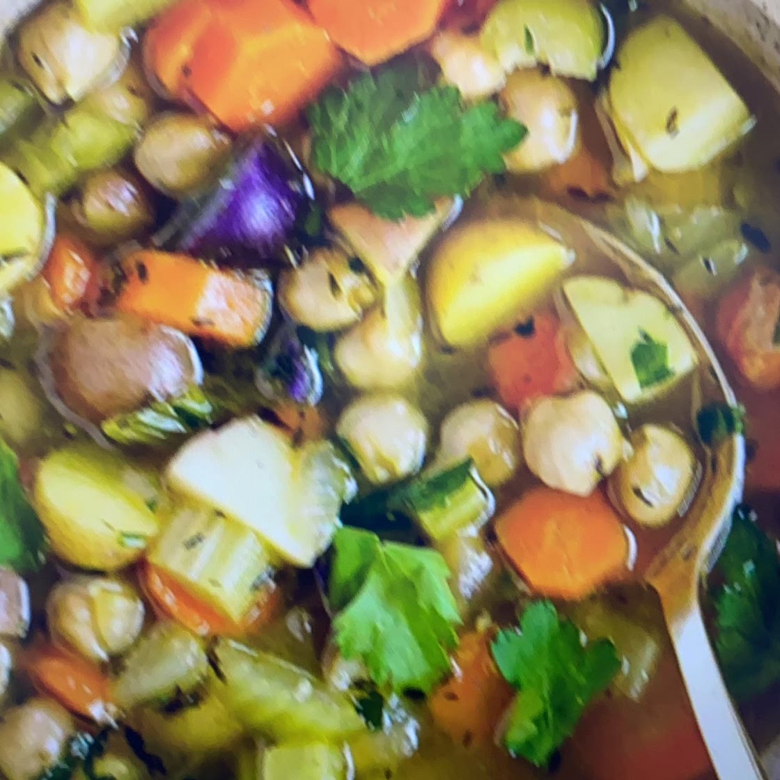 Spicy Vegetarian Soup 