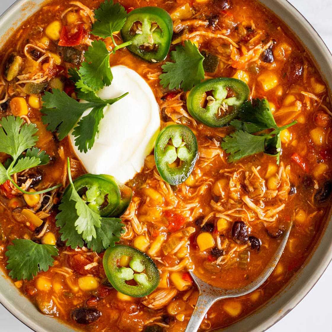 Instant Pot Spicy Chicken Black Bean Soup