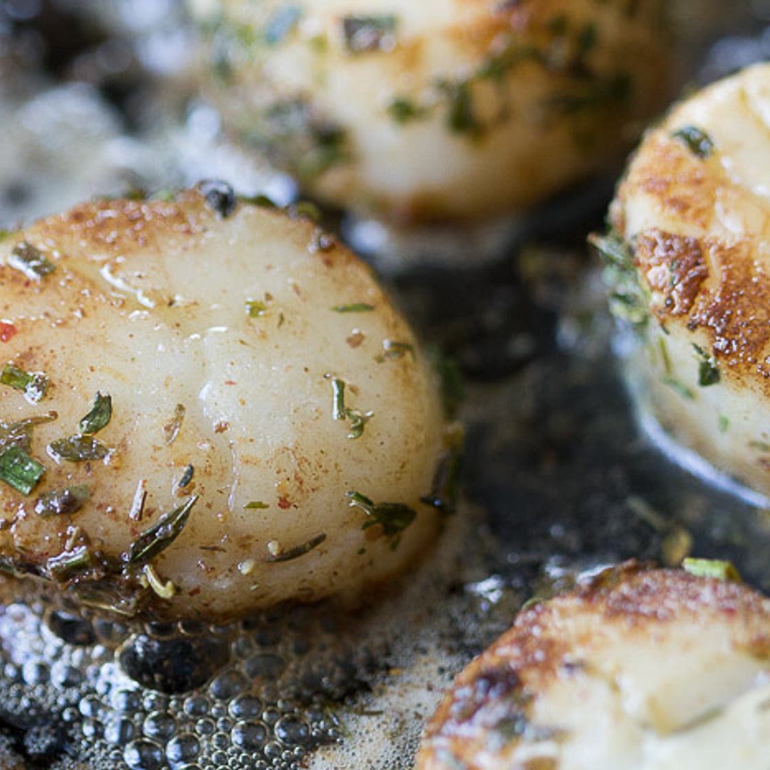 Seared Scallops with Emerald City Seasoning