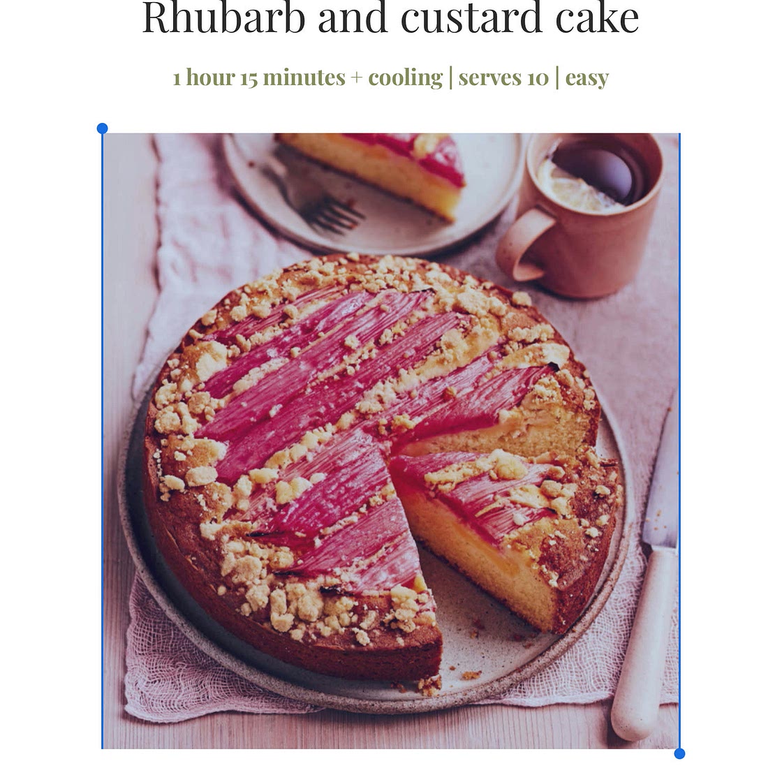 Rhubarb custard cake