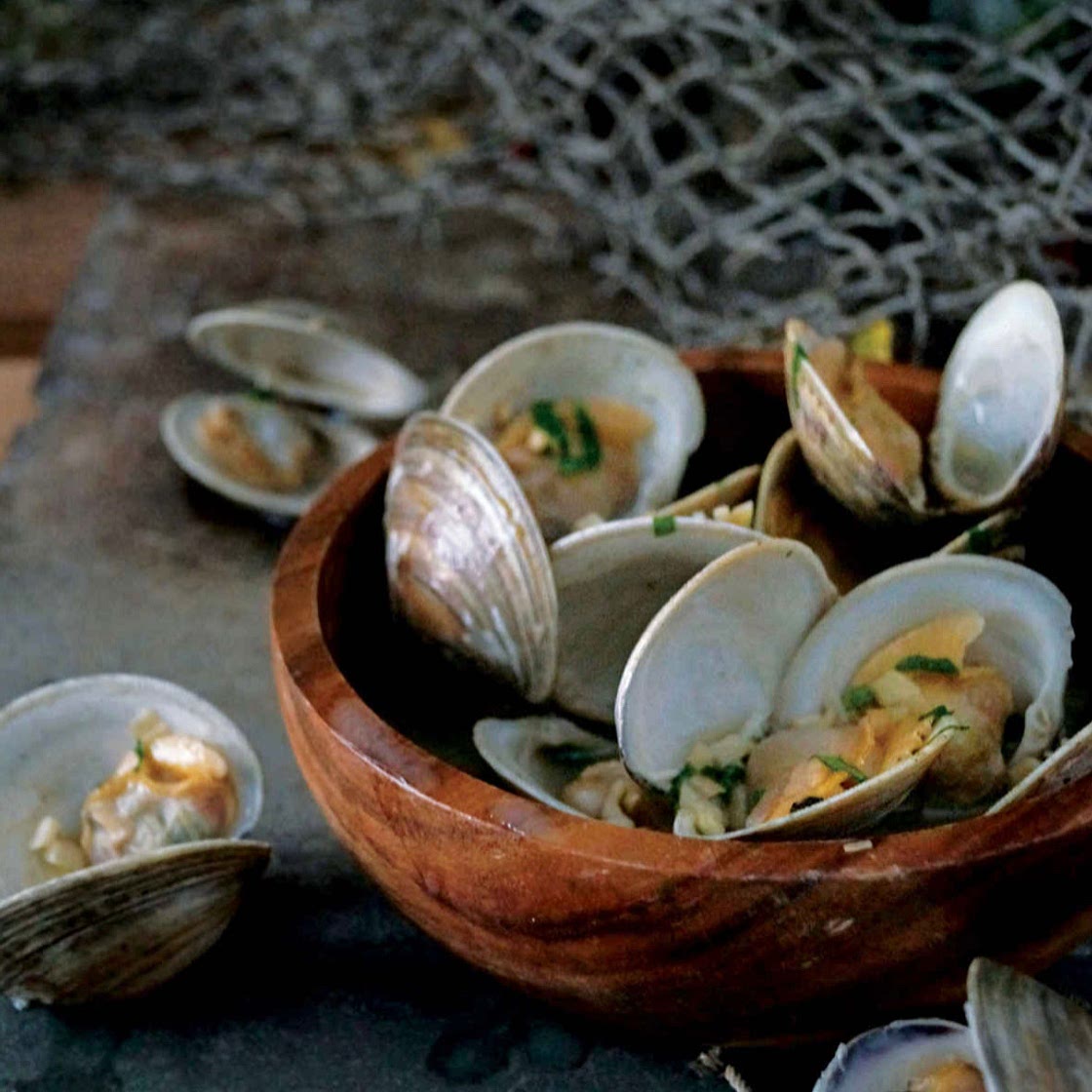 BOILED CLAMS