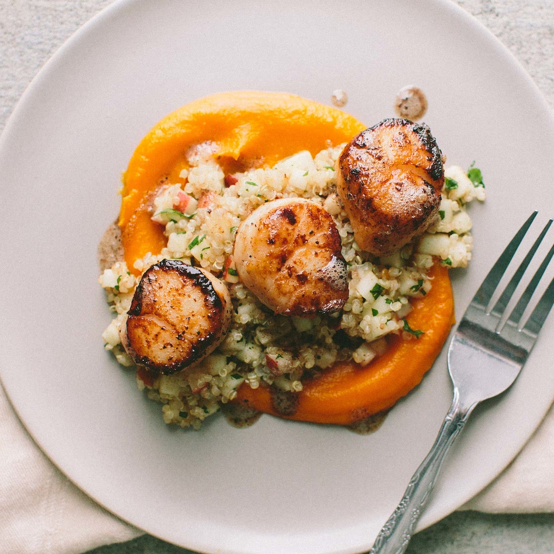 Seared Scallops with Quinoa and Apple Salad + Butternut Squash Puree — A Thought For Food
