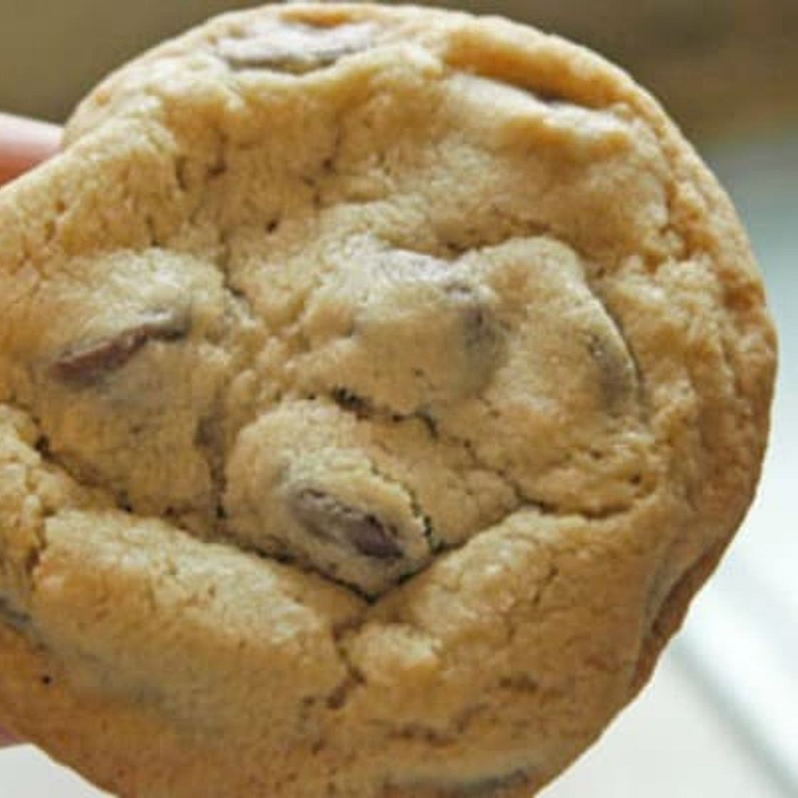 Large Batch Chocolate Chip Cookies