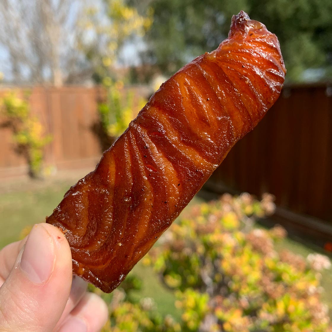 Salmon Jerky 