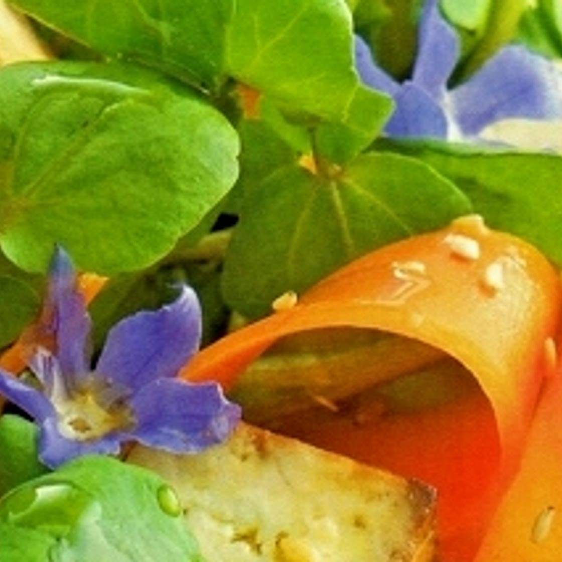 Roasted Tofu, Watercress and Carrot Salad with Sesame Orange Dressing