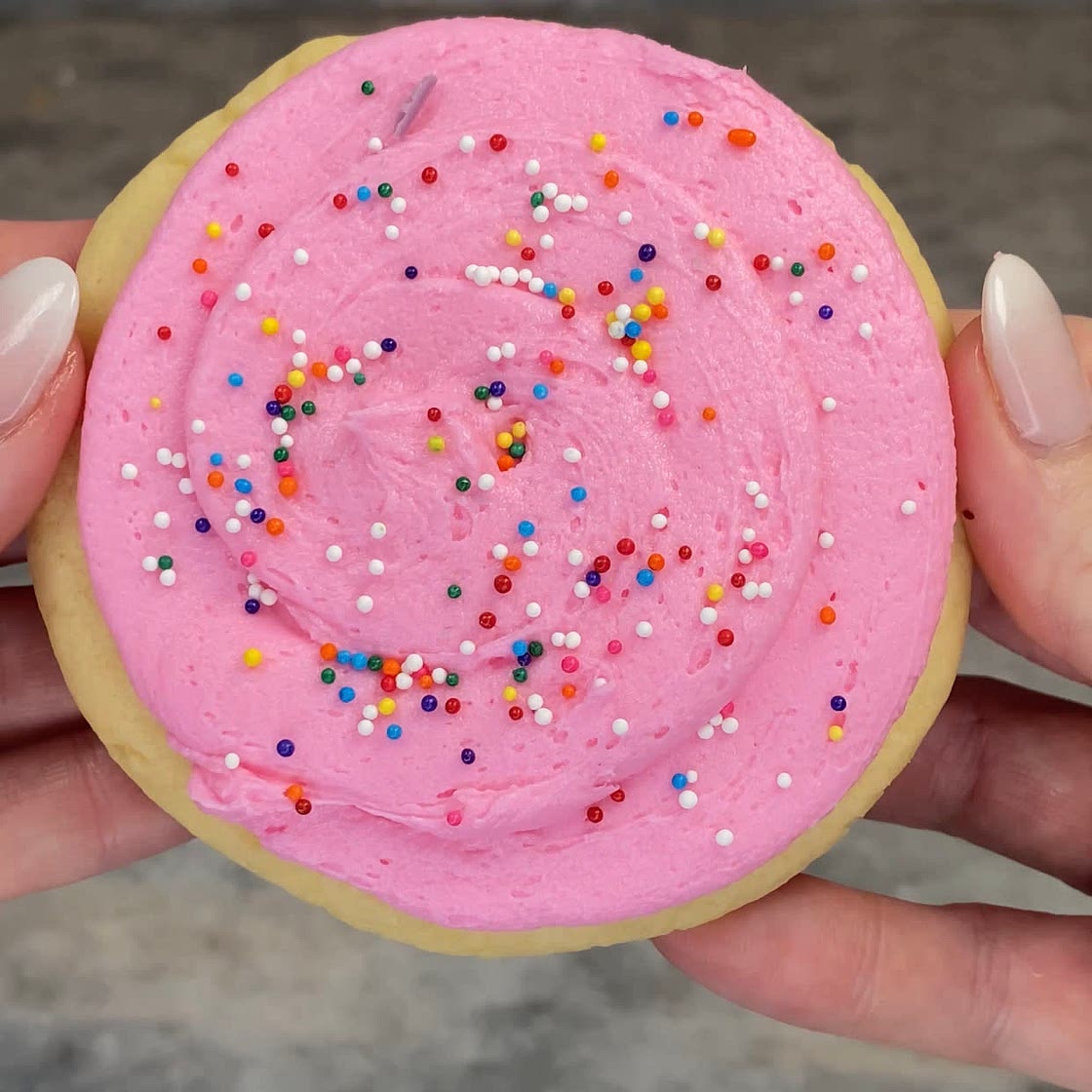 Ultimate Sugar Cookie