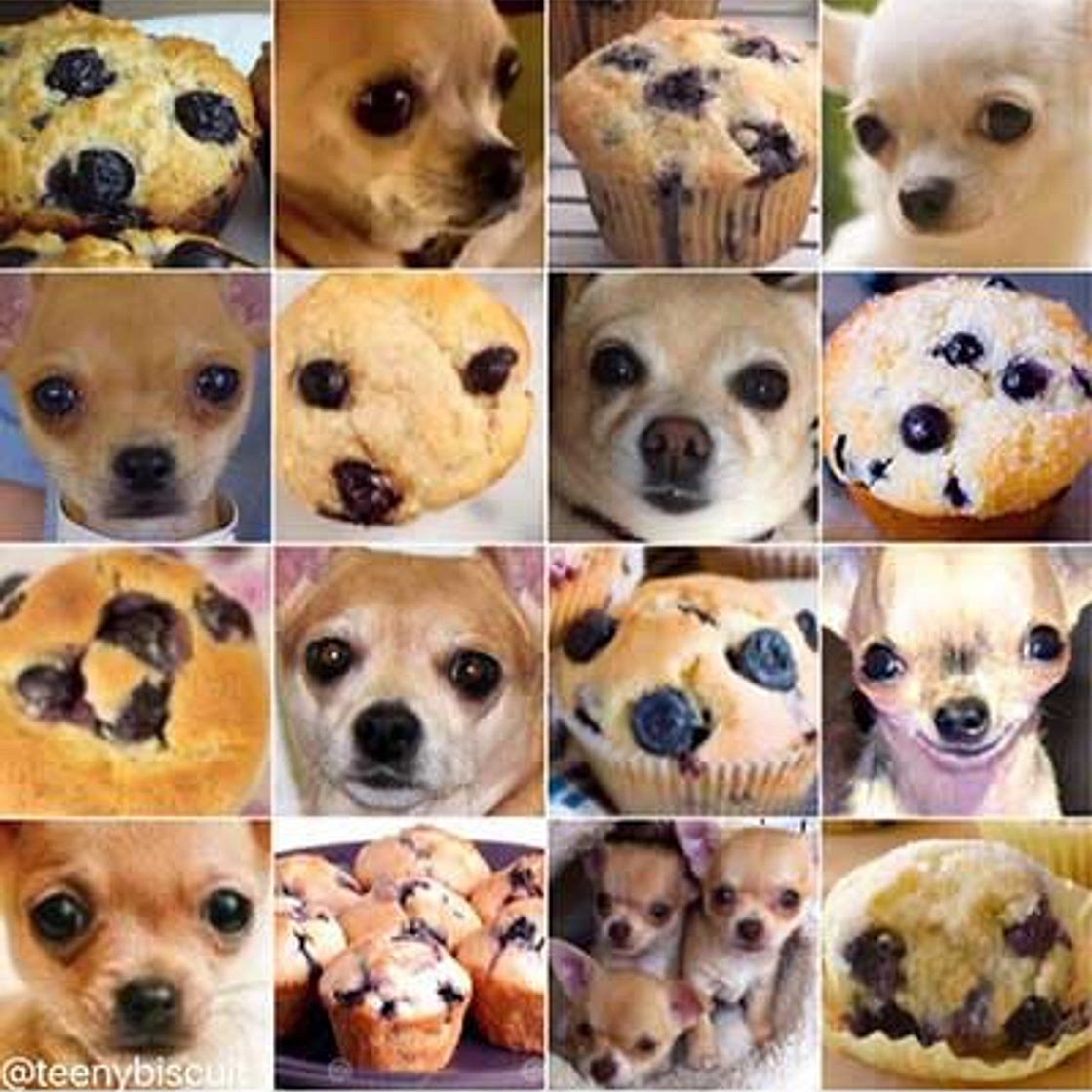 Ilya's Muffins