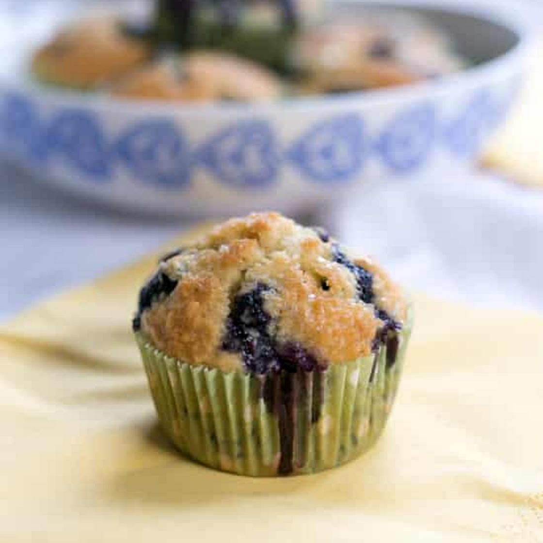 Low Fat Blueberry Muffins