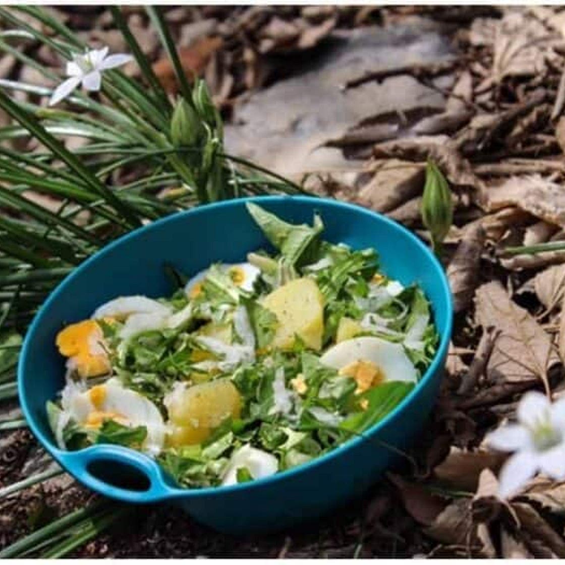 Dandelion salad
