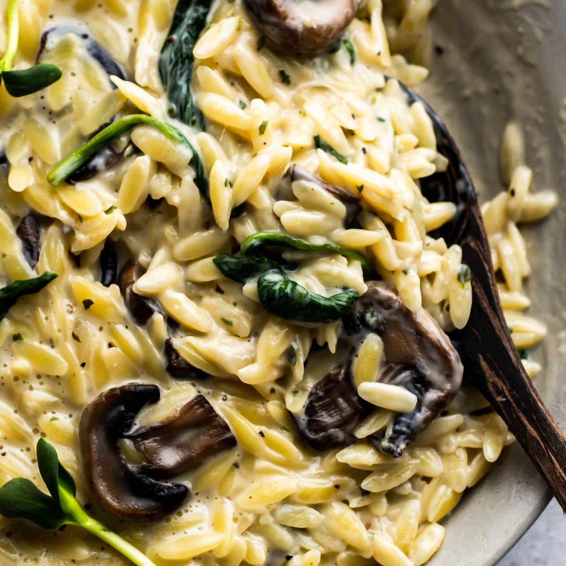 Creamy Mushroom Orzo