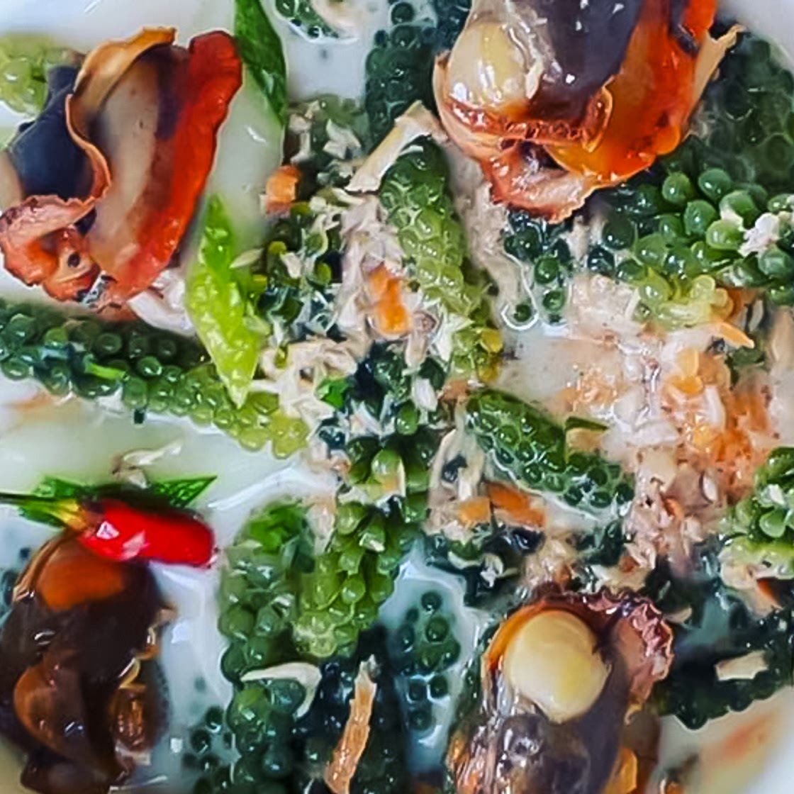 Kaikoso and Nama with Fresh Coconut Milk