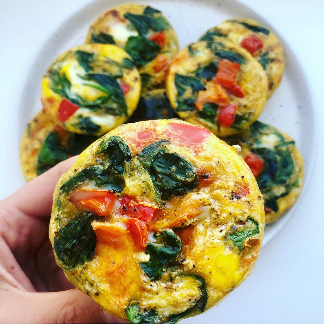 Egg Muffins