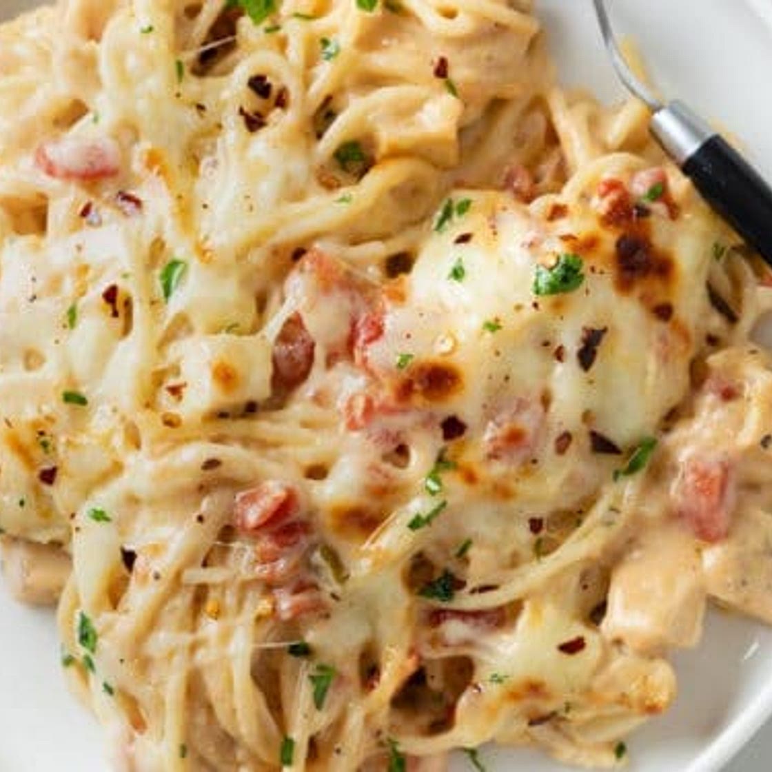 Chicken Spaghetti