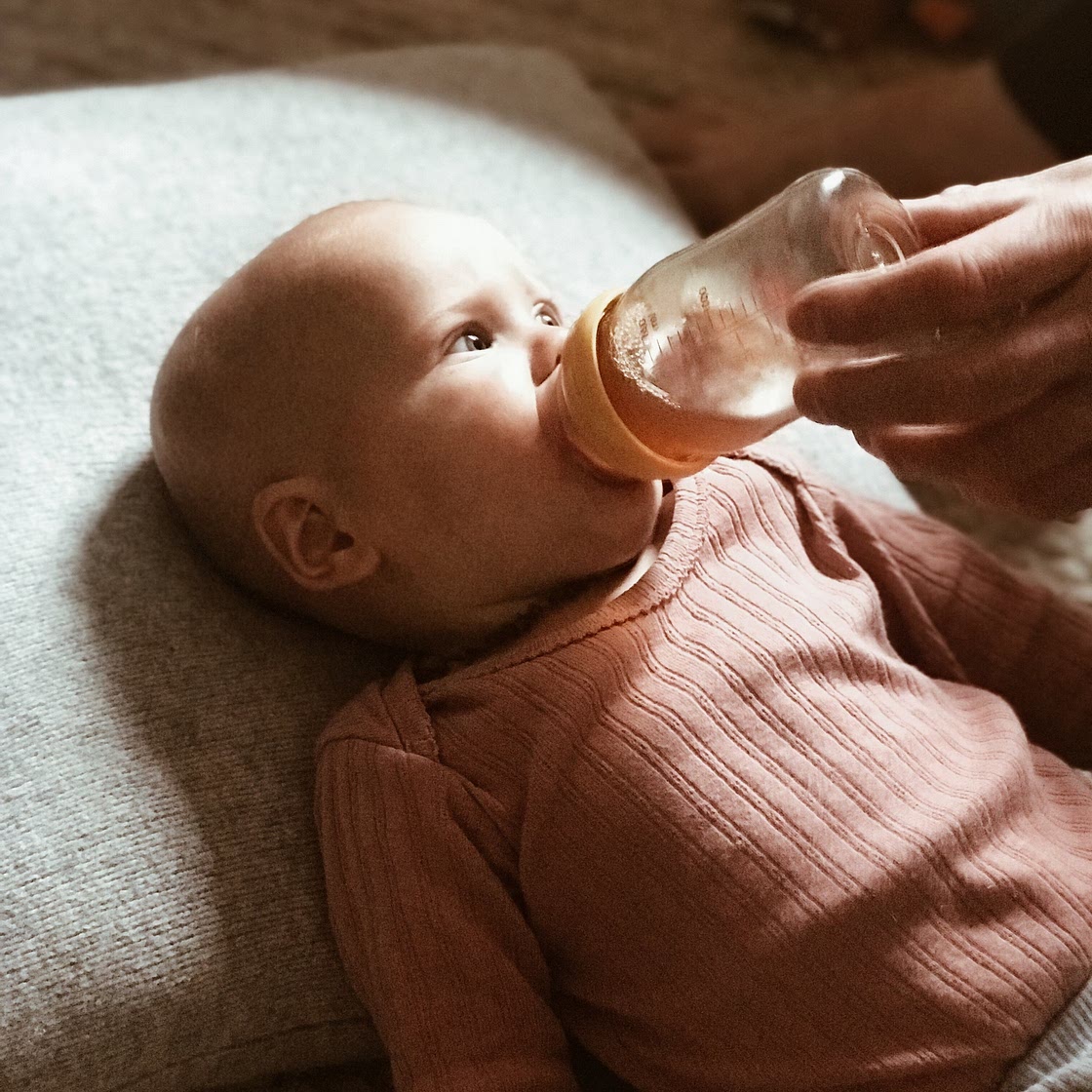 Chicken bone broth — Boob to Food