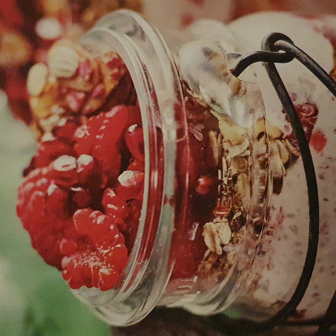 Chia berry pots
