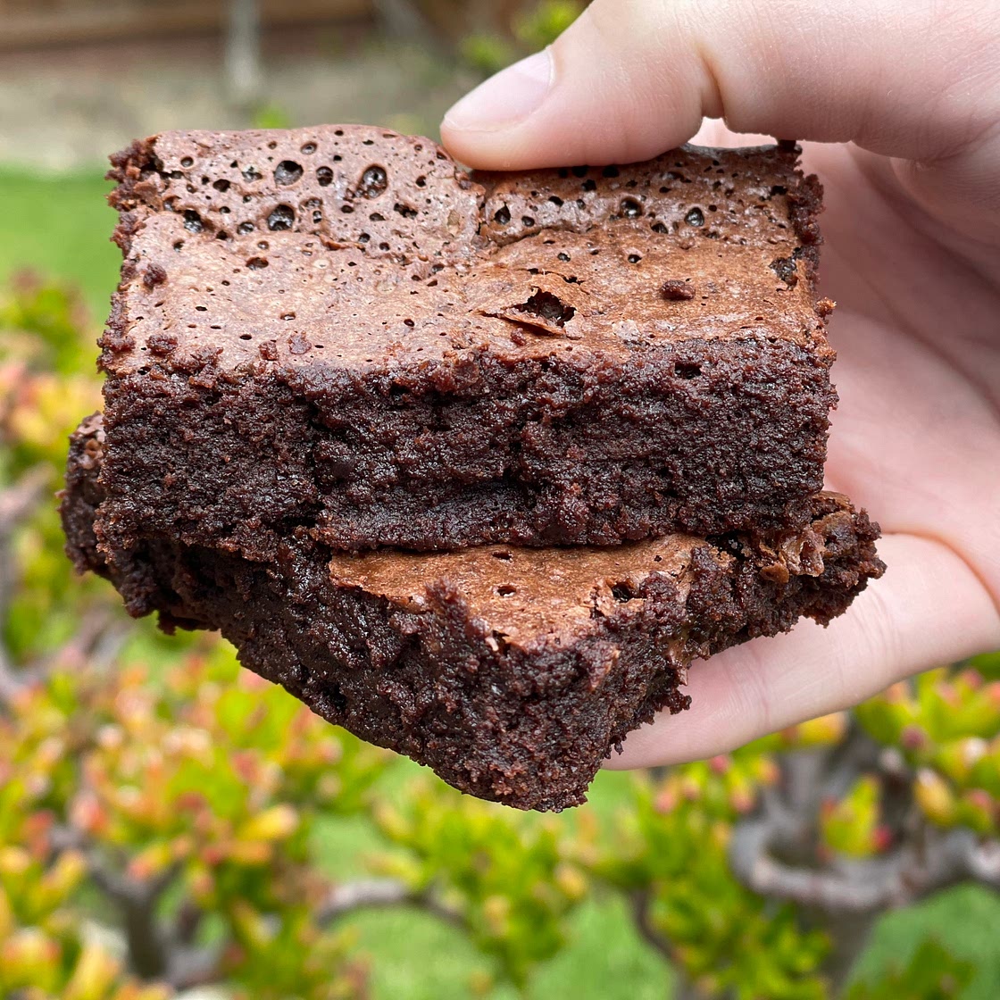 Best Flourless Brownies