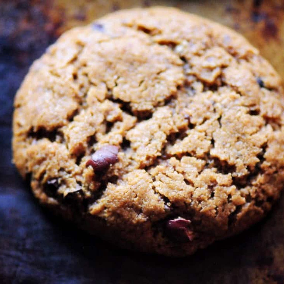Peanut Butter Cacao Nib Coconut Flour Cookies (Gluten-Free, Dairy-Free, Refined Sugar-Free)