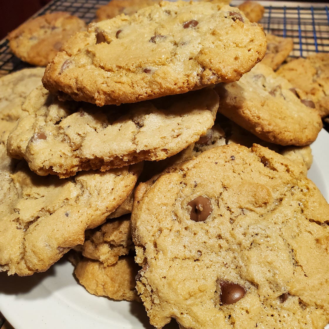 Chocolate-Chocolate Chip Cookies — Spicin' and Dicin'