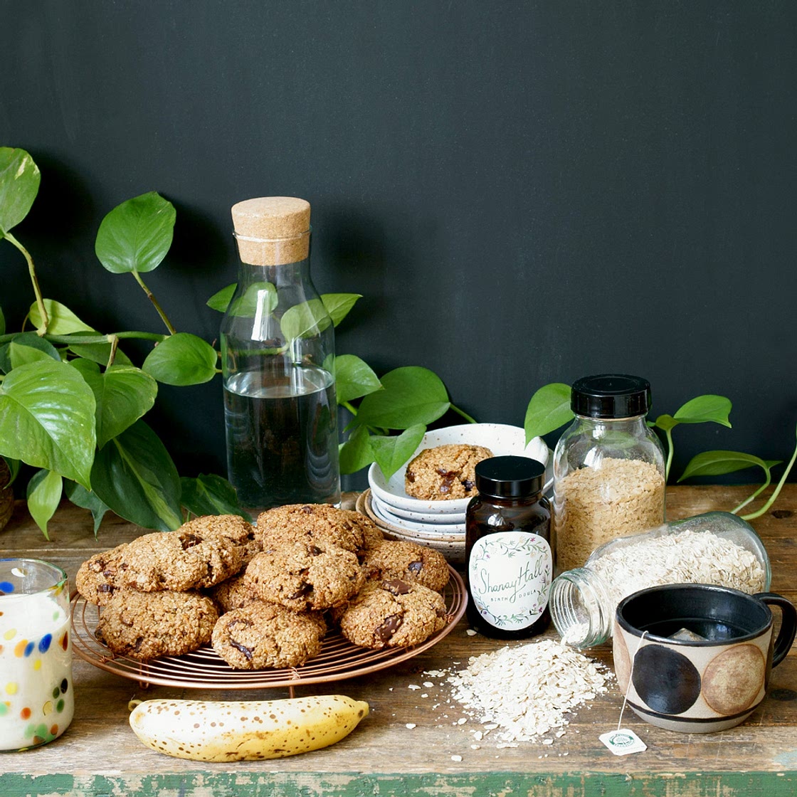 Lactation Cookies — Wholy Goodness