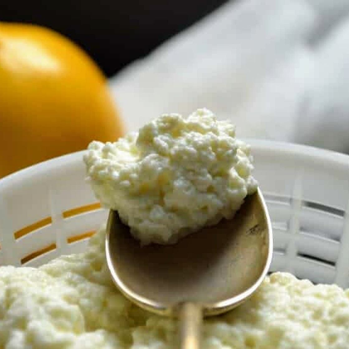 Homemade Farmer's Cheese