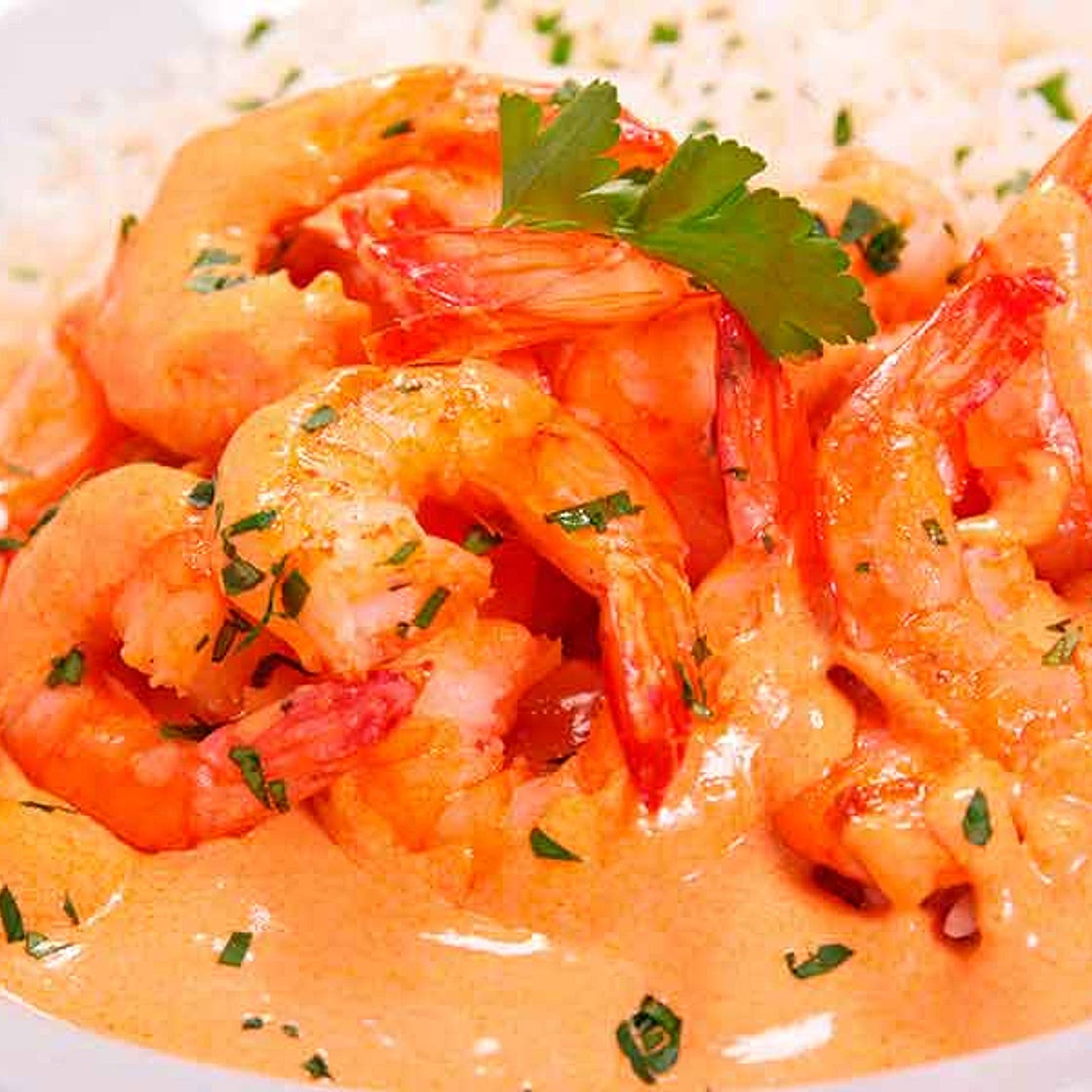 Camarones a la crema para los amantes de los mariscos