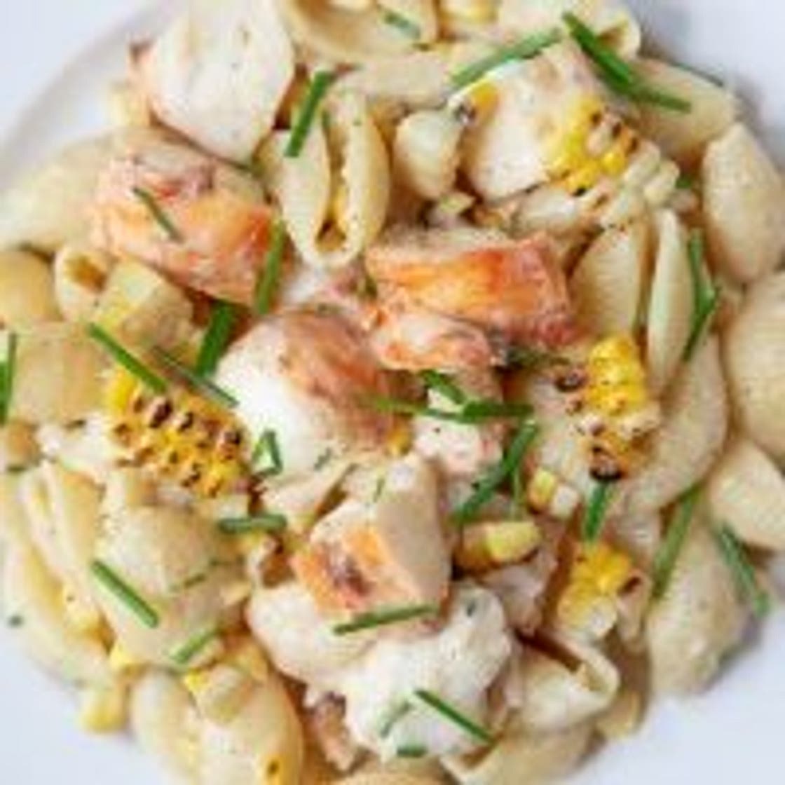 Creamy Lobster & Shells