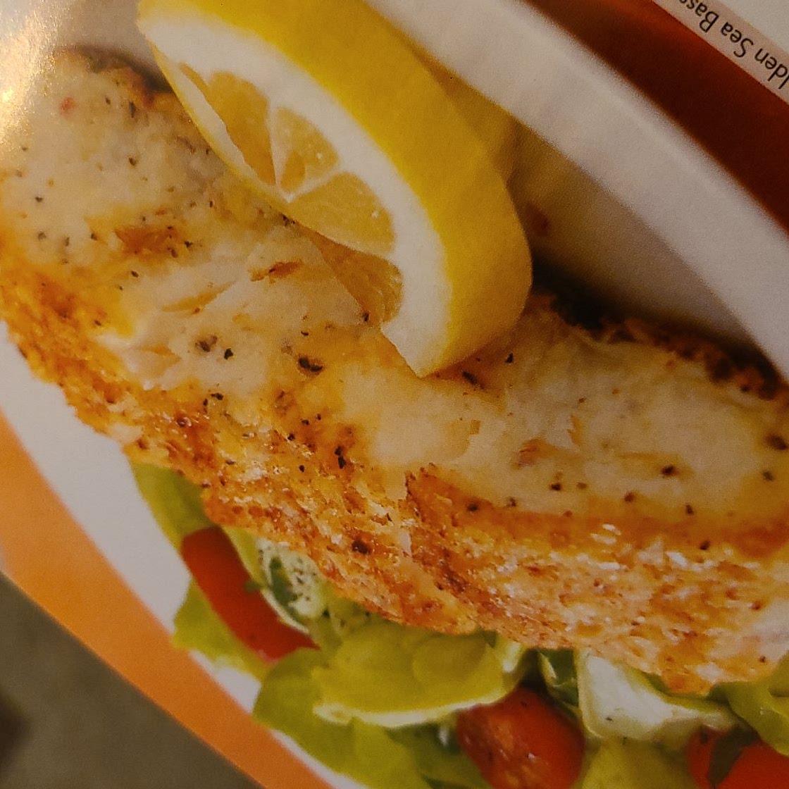 Golden Sea Bass