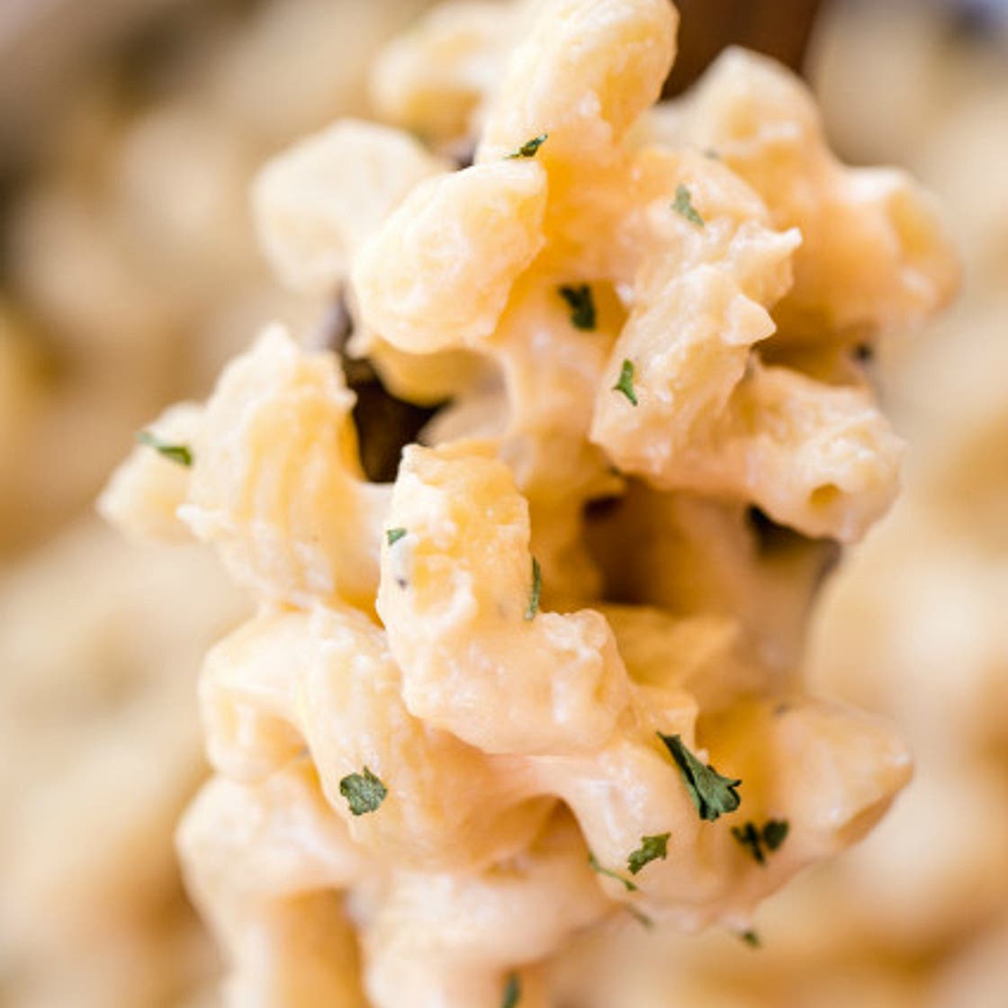 Stovetop Alfredo Mac & Cheese