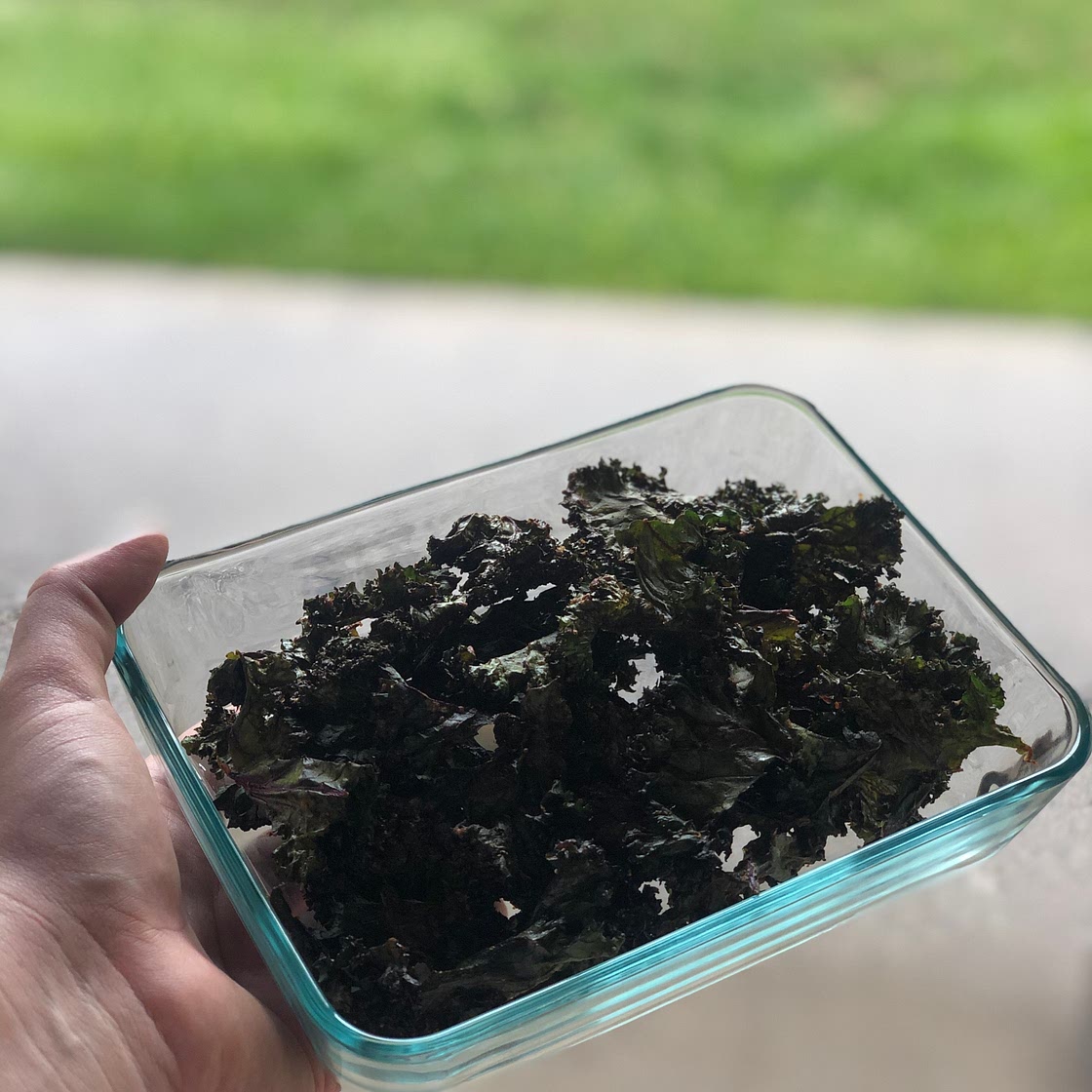Ranch Kale Chips 